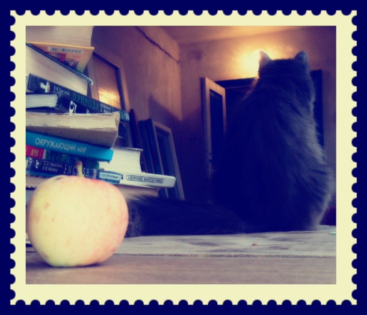 Фото автора.