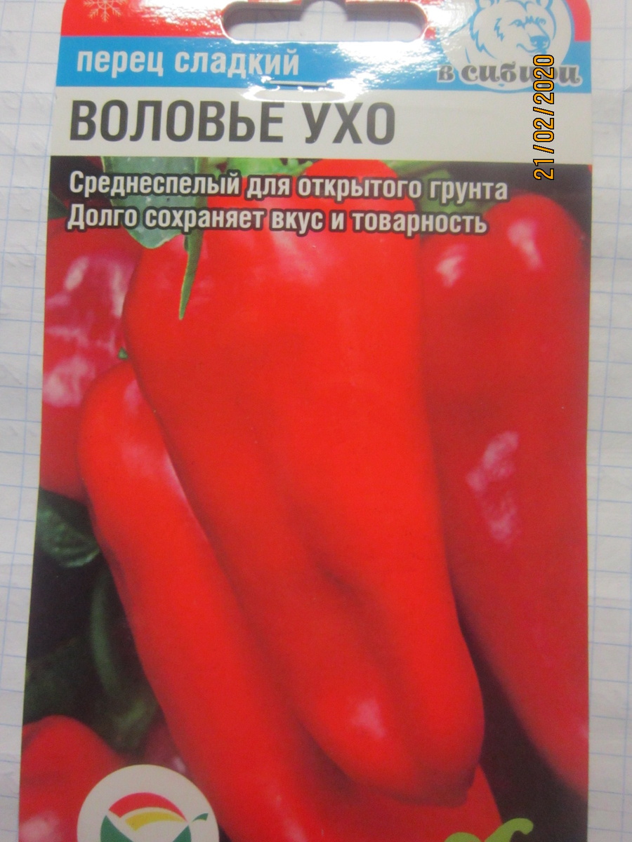 Воловье ухо