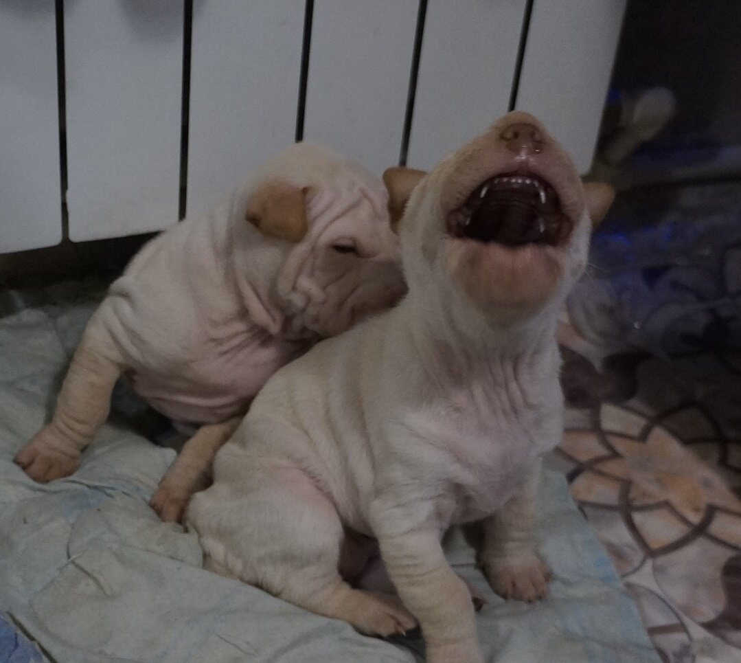 улыбайтесь 