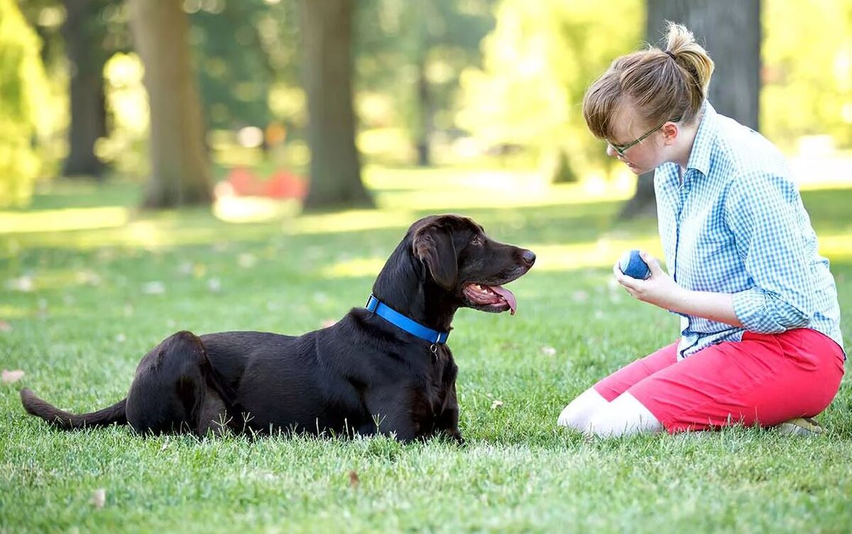 Изображение взято с сайта animalpaw.ru