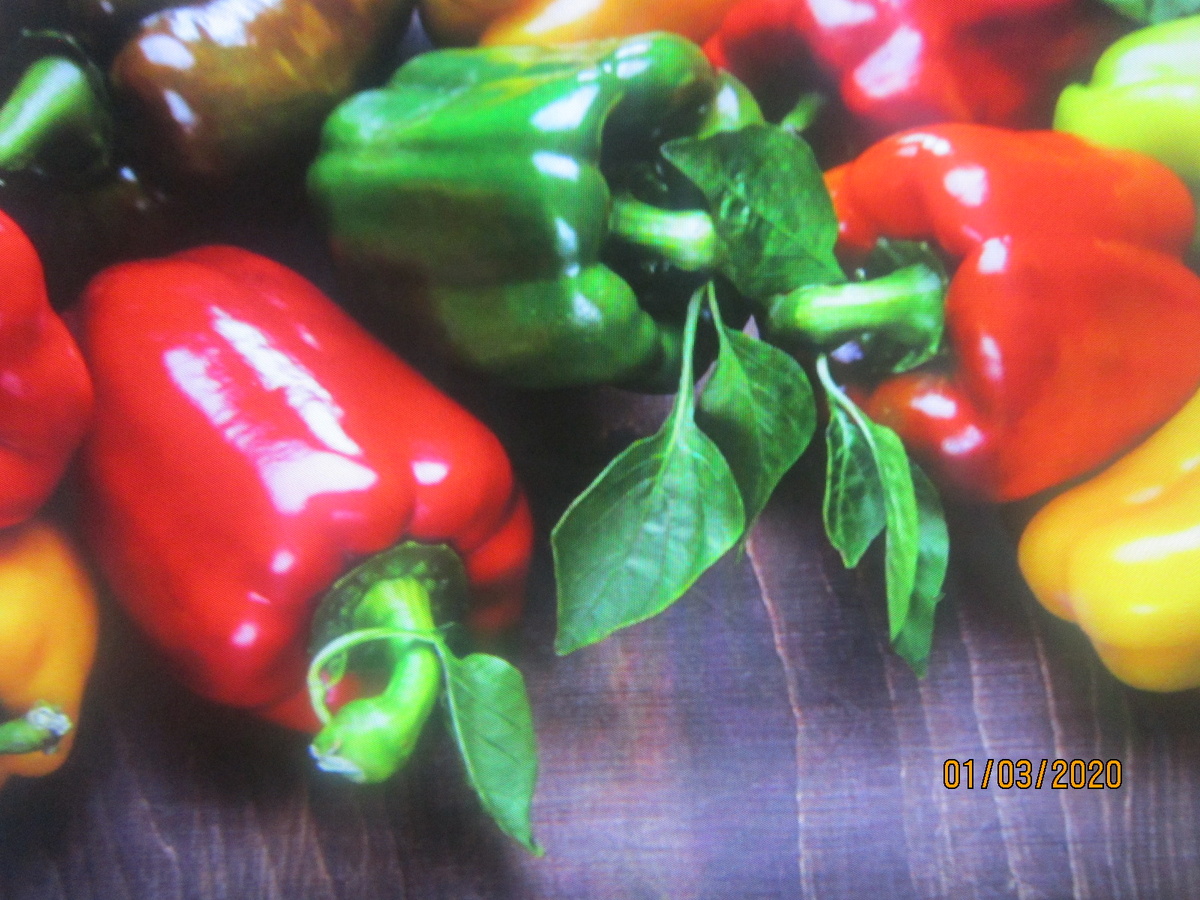 Быстрей-бы лето  !!!