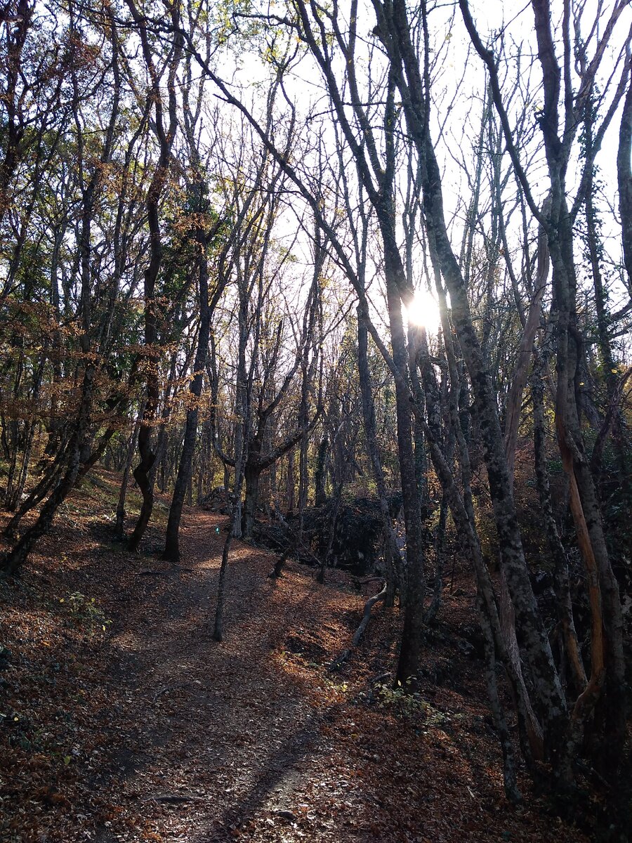 Крым, ноябрь 2019