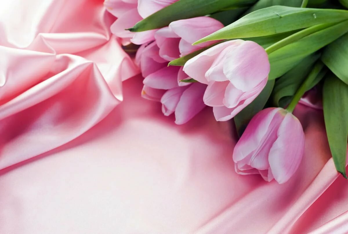 фото из источников со св доступом в интернете