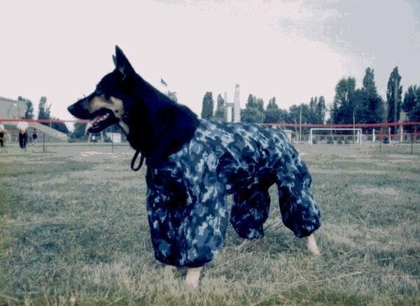 Бак.