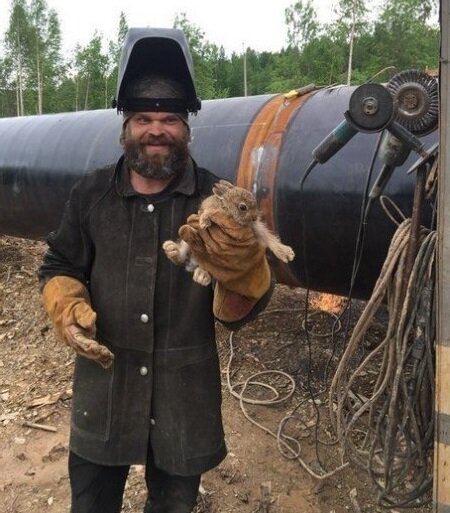 Поймал зайца. Будем лечить (шутка).