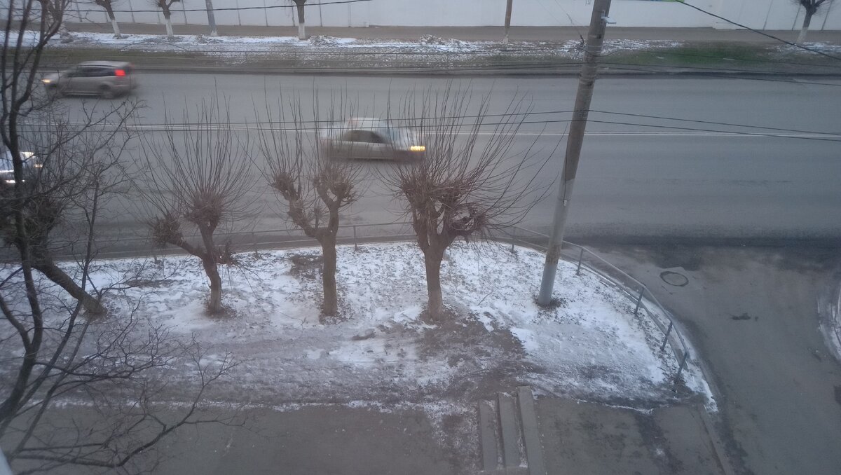 За 2 часа до фото было солнечно и была трава. 