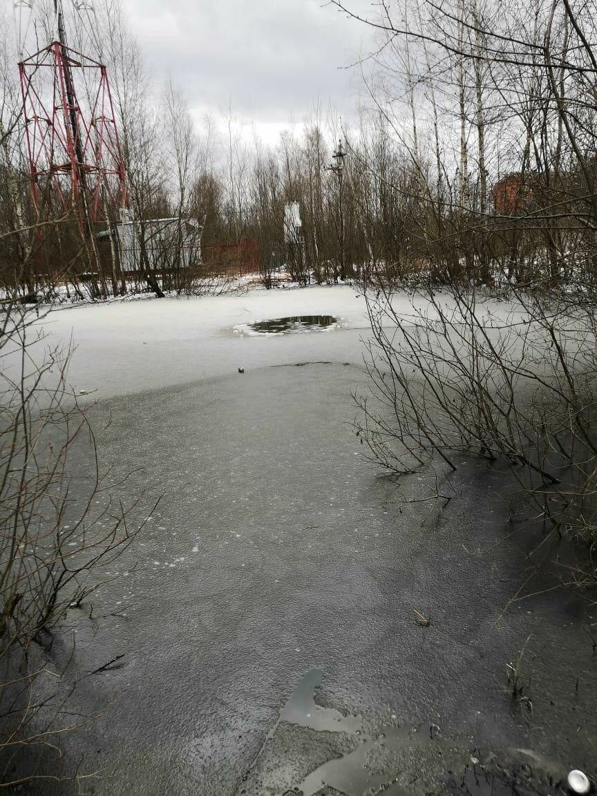 Пушкино ищем вместе