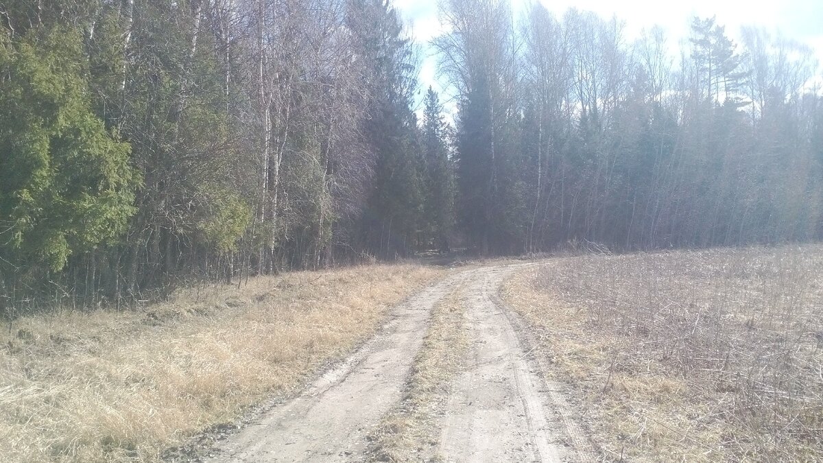 автор фото Александр 🛠