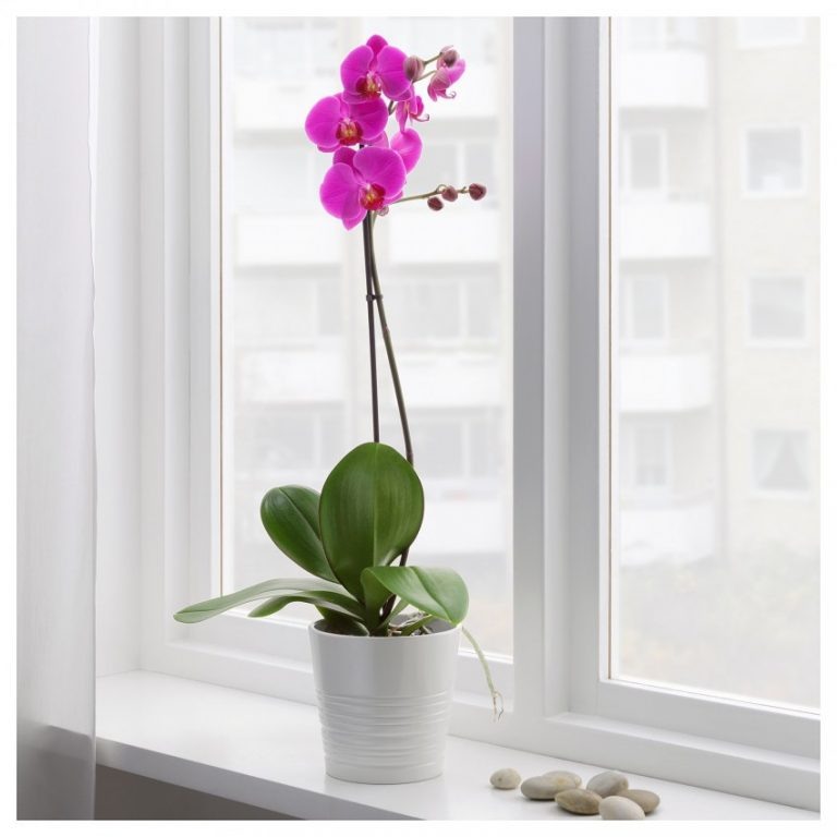 Фото из открытого источника 