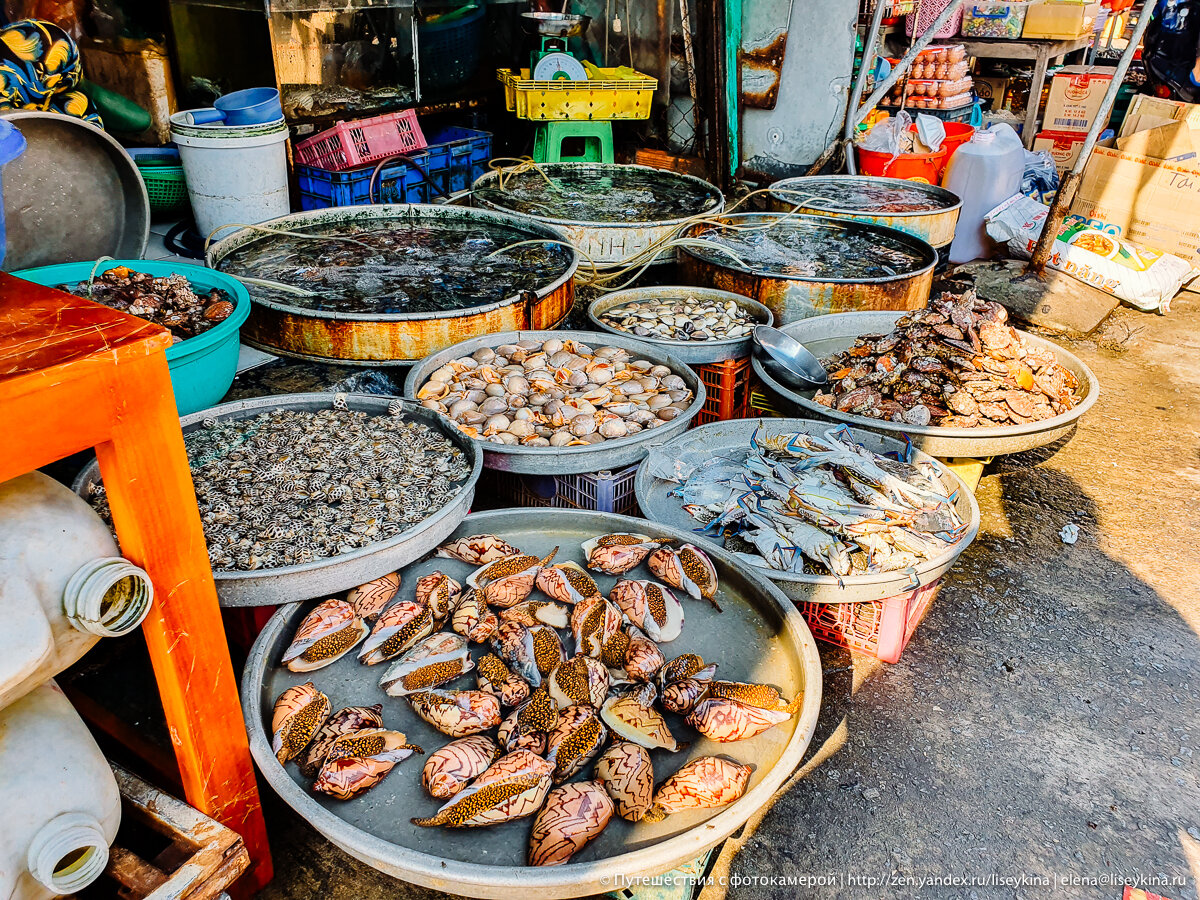 Пешеходам тут не рады: сходила на вьетнамский рыбный рынок и посмотрела как местные делают покупки и что там продают