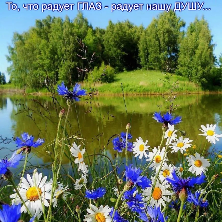 Фото из Яндекс картинки 