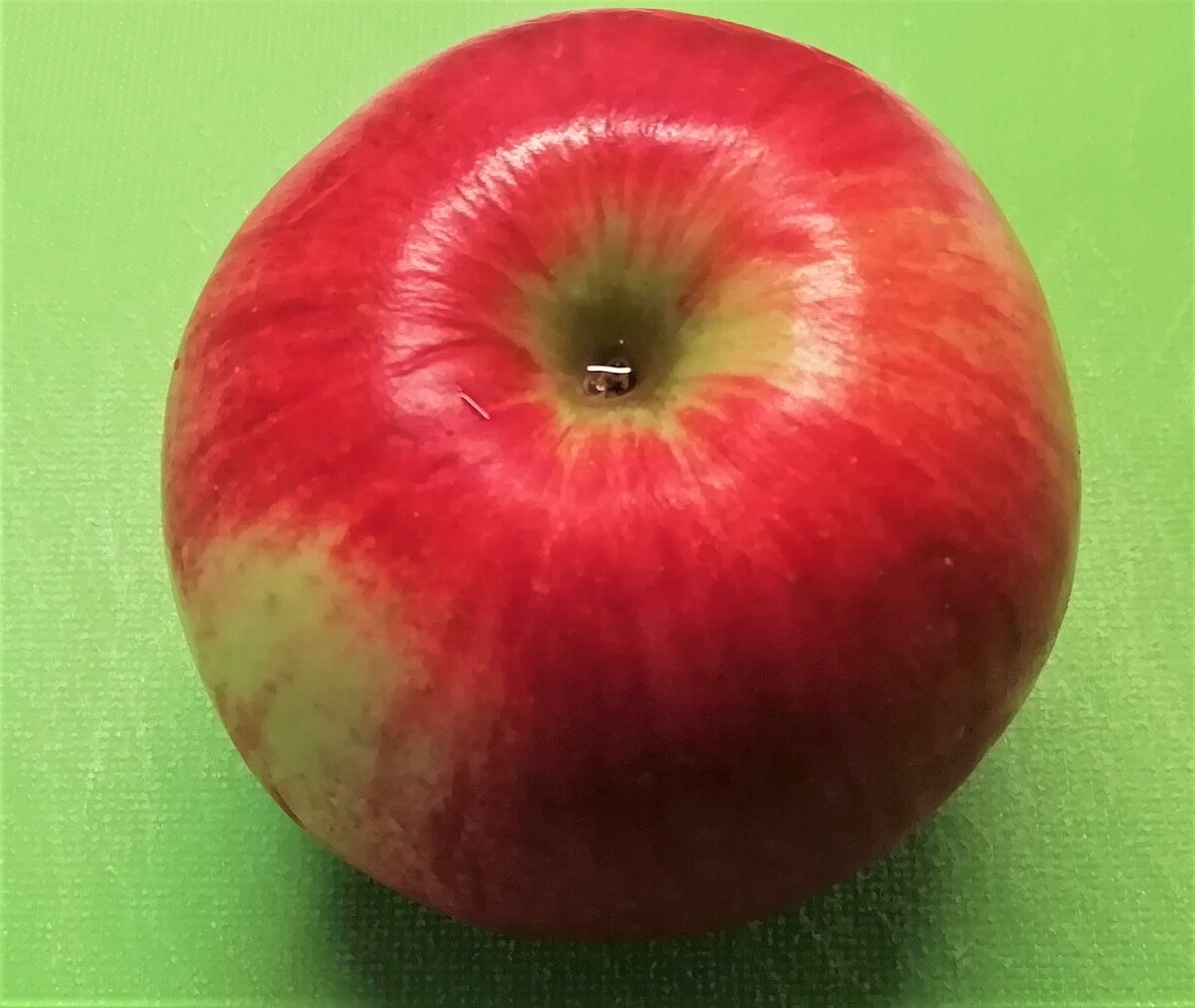 личное фото