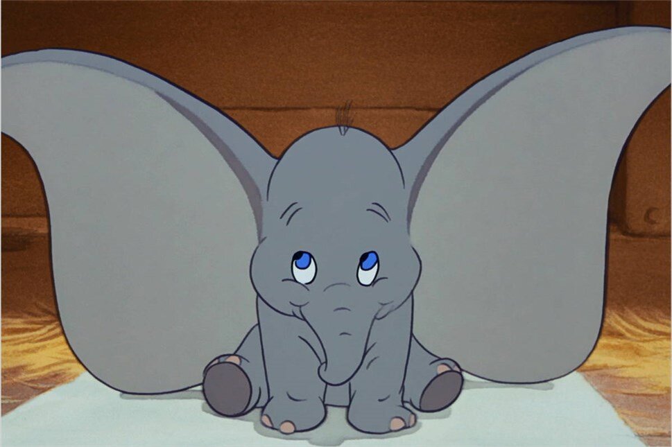 Фото: sova.ponominalu.ru