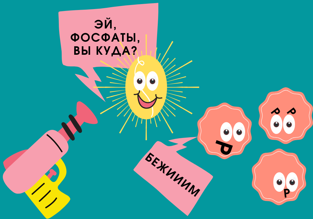 Есть всего три выстрела –три возможности отщепить молекулы фосфата. После трех выстрелов остается лишь молекула аденозина. 
