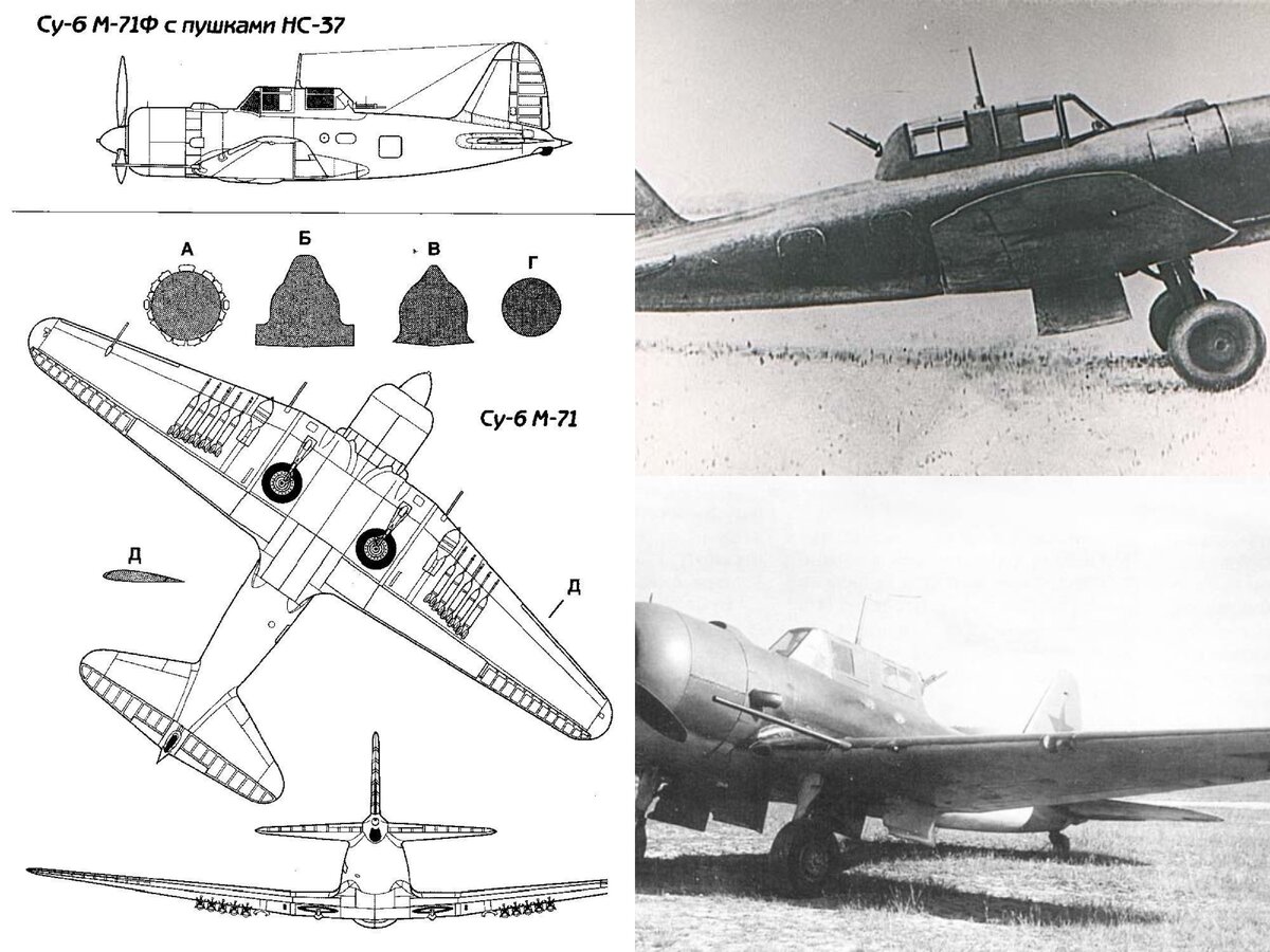 Все фото статьи взяты из открытых источников