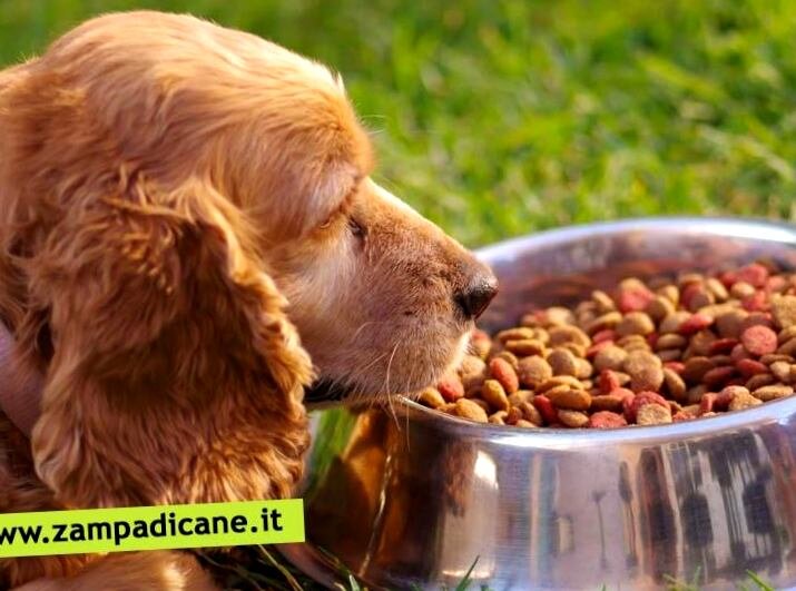 Взято из открытых источников