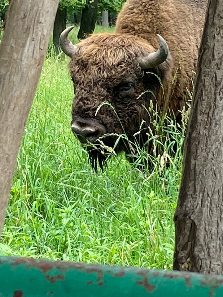 из личного архива