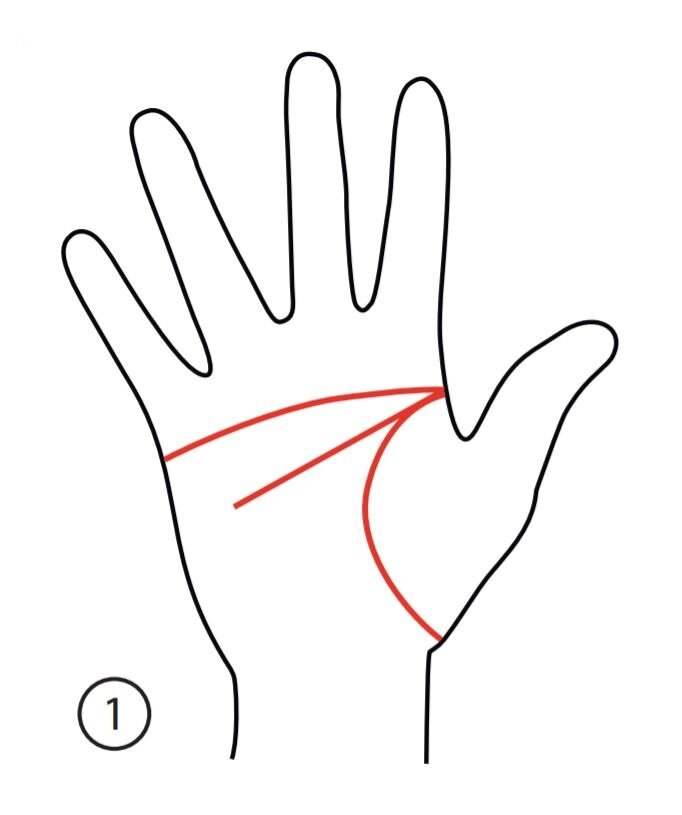 Хиромантия рисунок руки