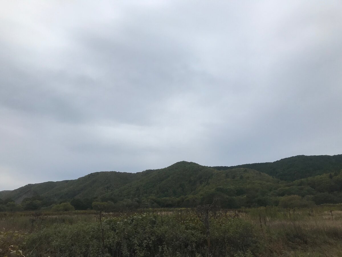 А мы шагали в Новиков через такие вот места