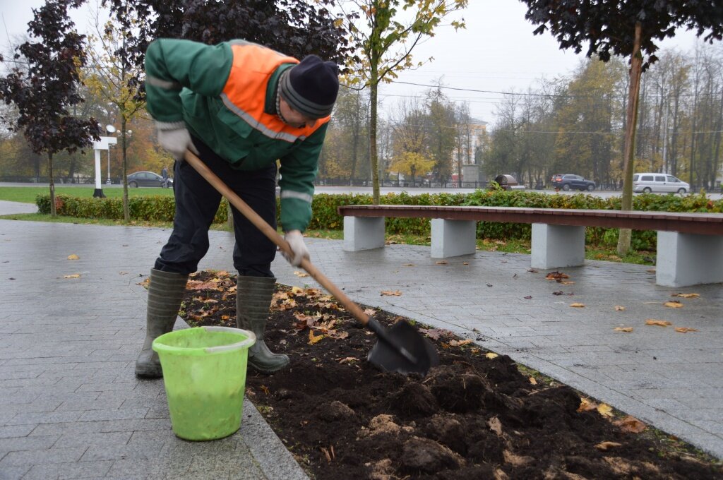 В Твери высадили 80 тысяч луковиц тюльпанов для следующего сезона
