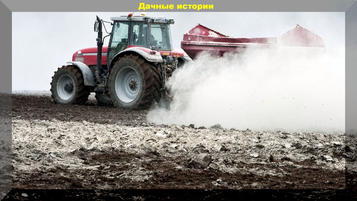 Гипсование. Простой и дешевый способ восстановления плодородия почвы без  удобрений | Дачные истории | Дзен