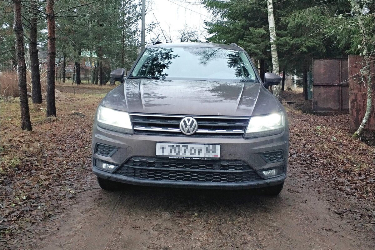 Тигуан или Хавал?