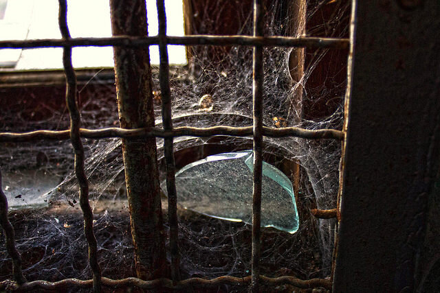 Фото с интернета