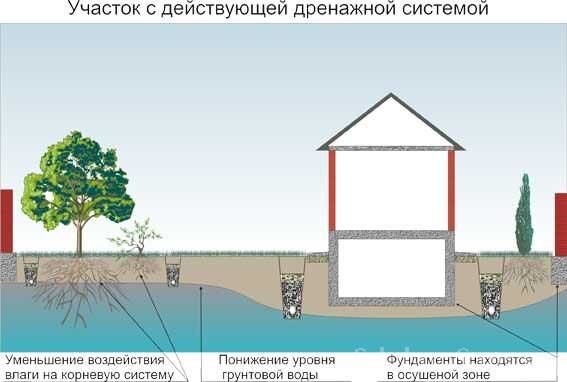 Проблемы, возникающие даже если погреб еще не в воде