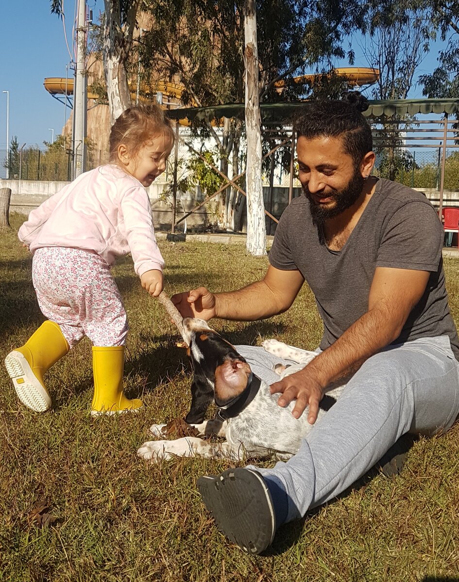 Это моя ссемья играет с щенком