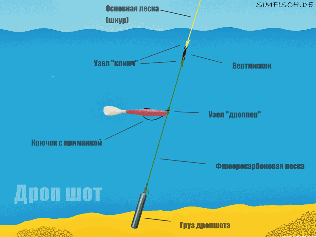 Оснастка дроп-шот (Drop Shot): Способ монтажа, техники проводки