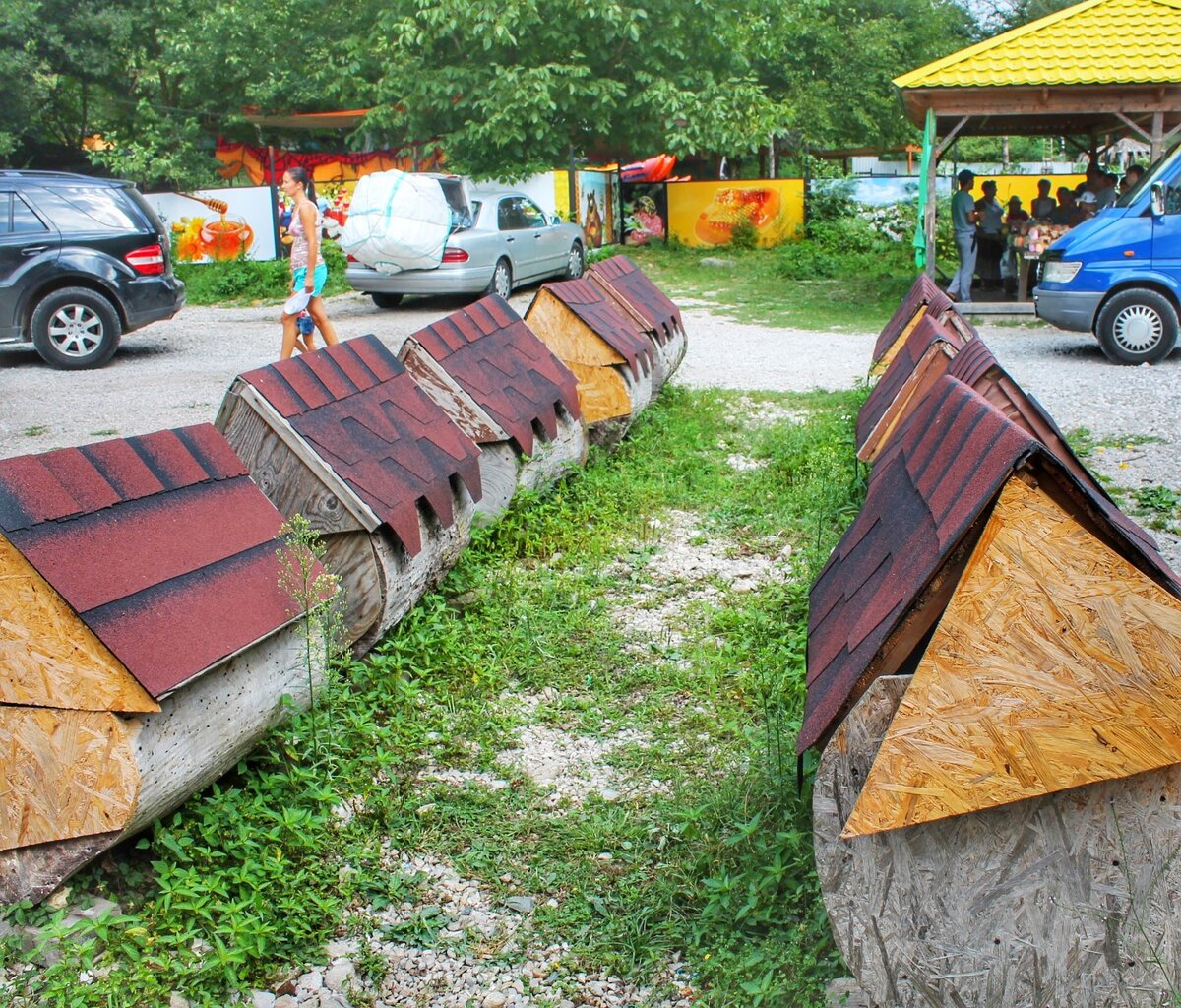 ФОТО АВТОРА. Листайте дальше