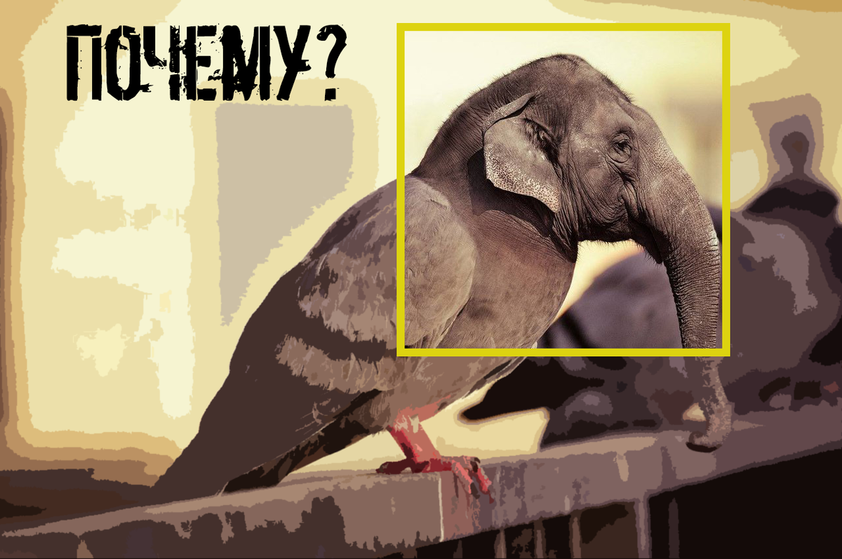 Если нравится, как пишу, подписывайся😉