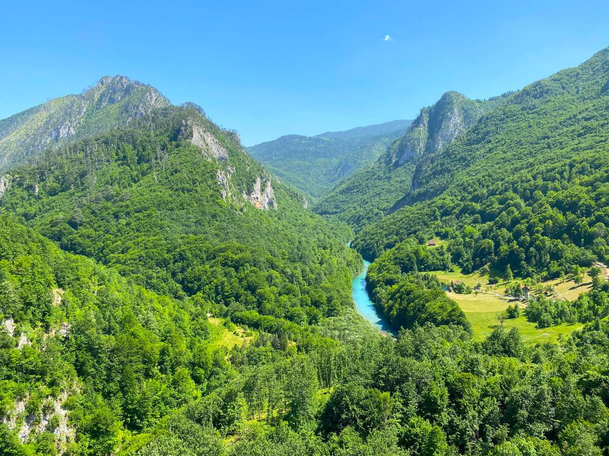 Черногория, голубая лента реки Тара. Фото автора.