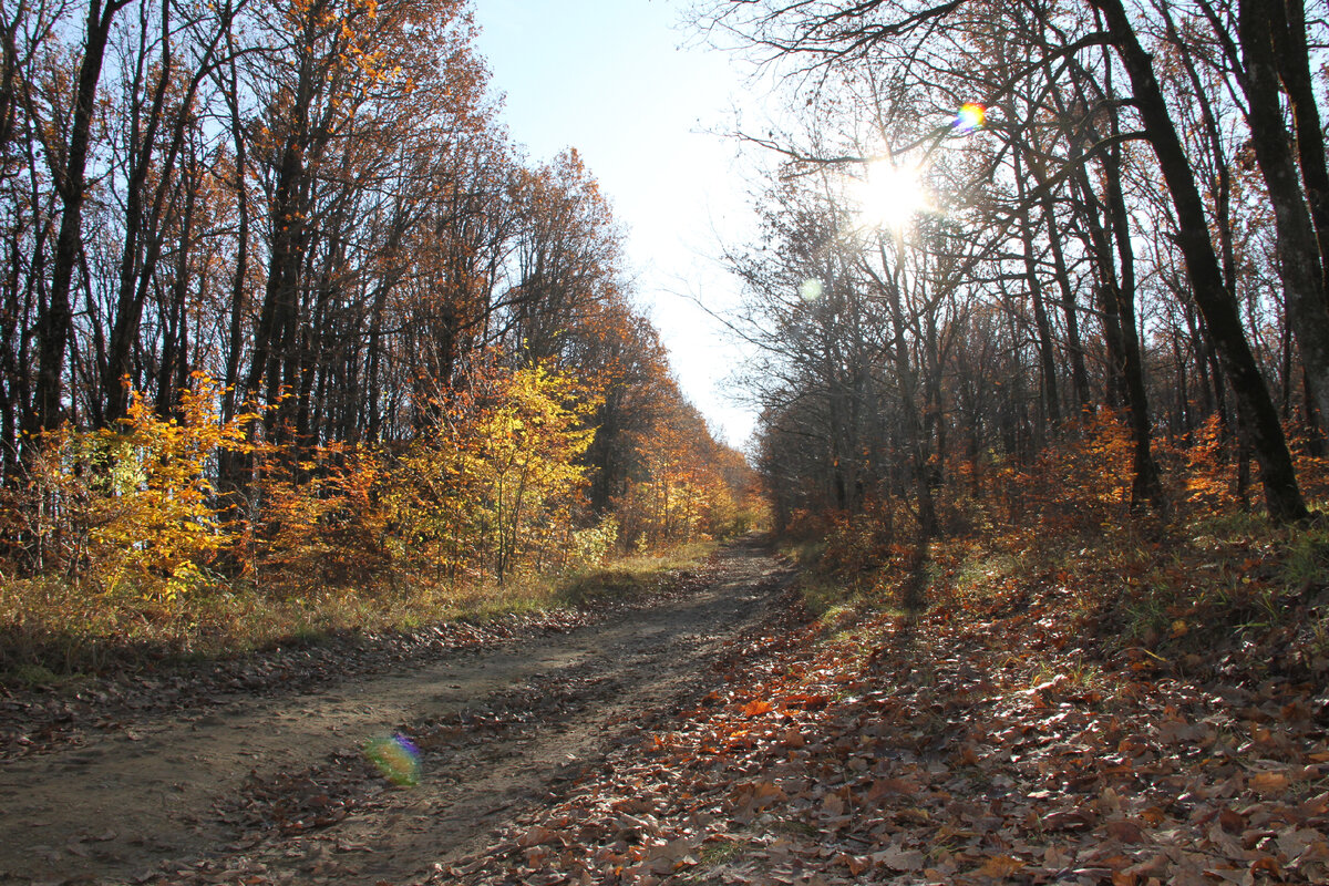 Фото Заиры Залексон