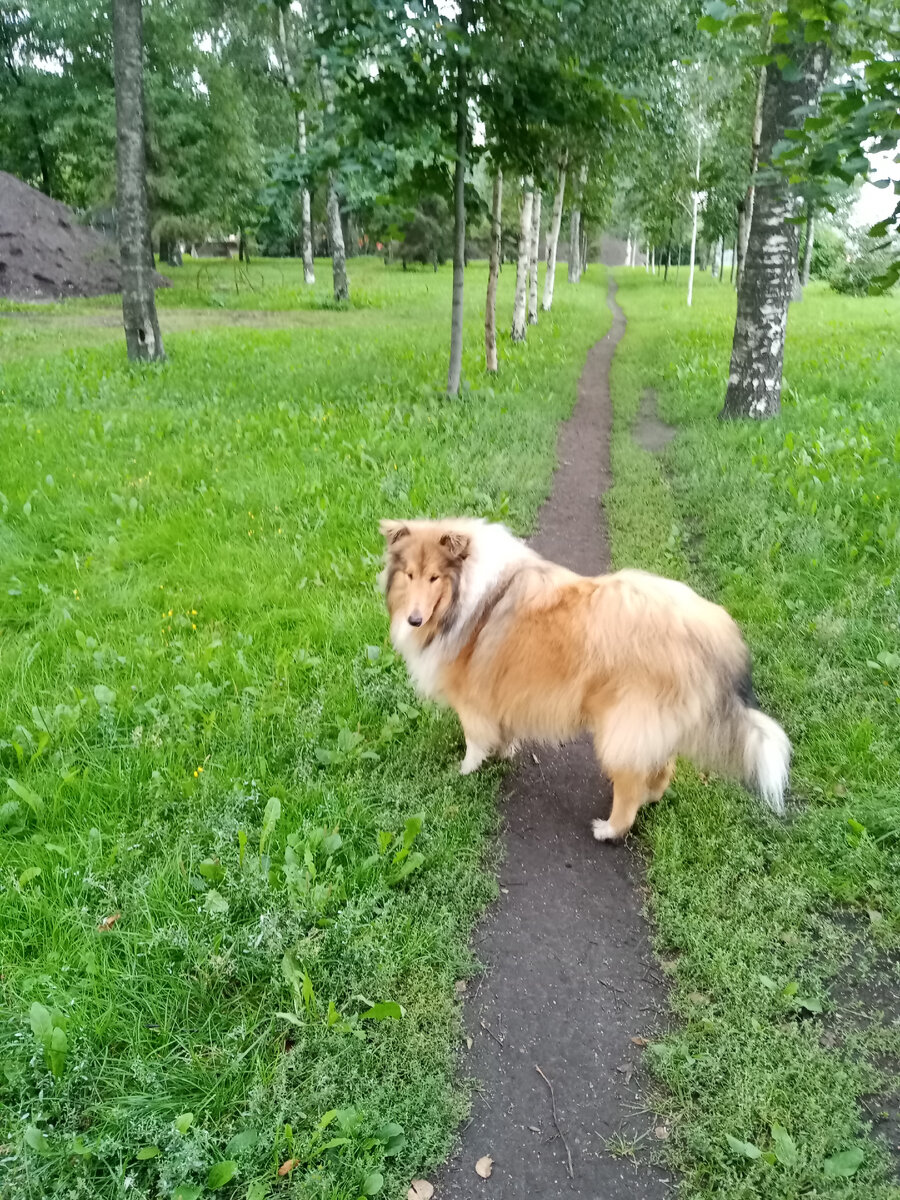 Это мы в парке Терешковой