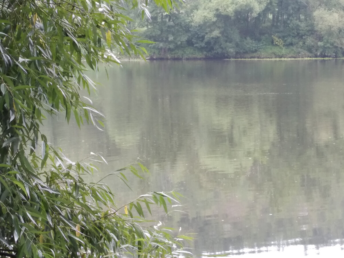 Хорошо пузырит - жди поклёвищи.