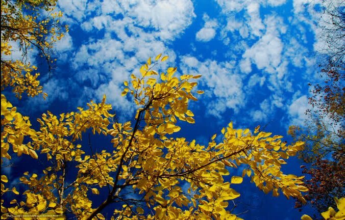 Фото взято с Яндекс. картинки