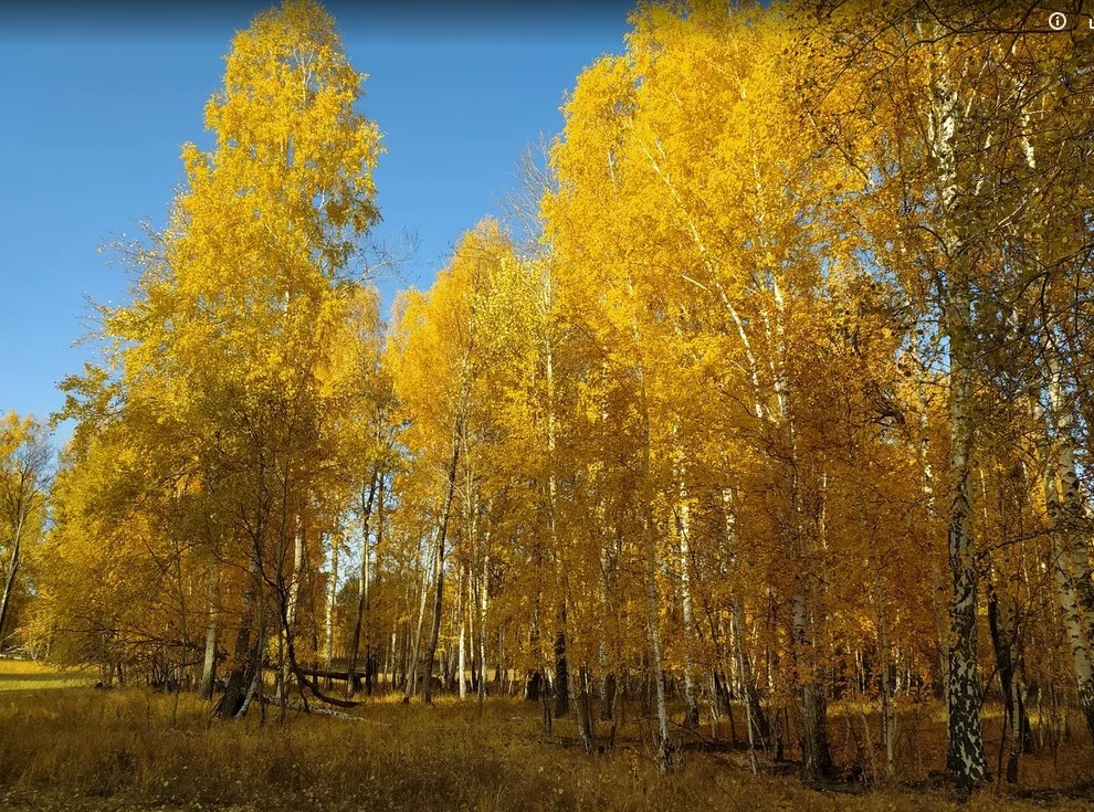 У меня своя 