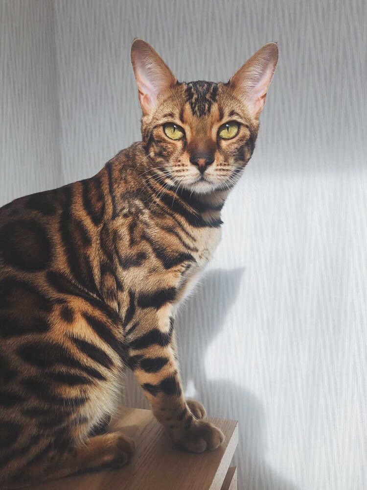 За предоставленное фото спасибо Instagram @leru_sha