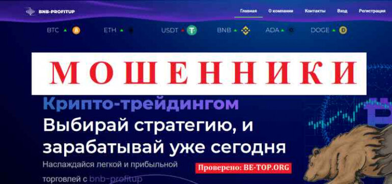 BNB-PROFITUP МОШЕННИКИ рисуют прибыль и не выводят ее, отзывы о брокере