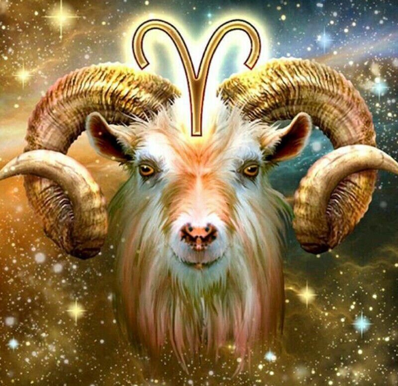 Фото из свободных источников