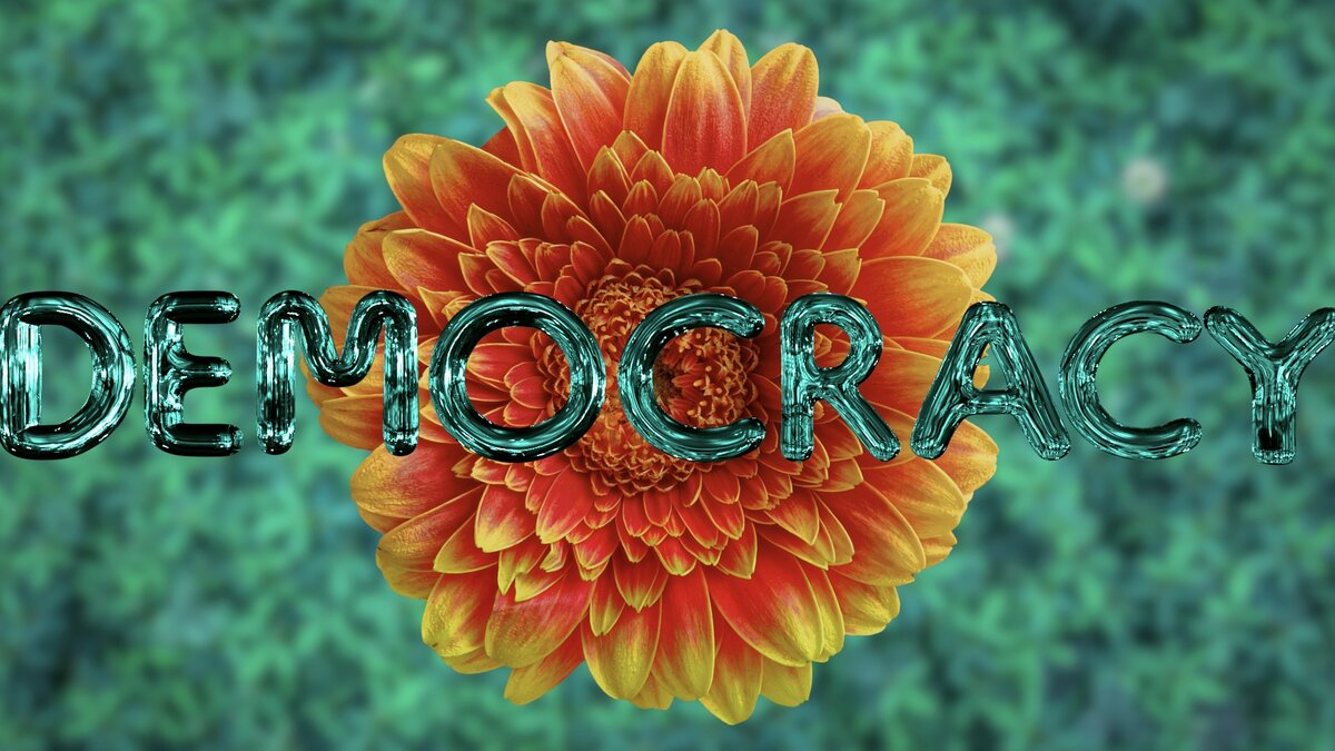 Фото с сайта Pixabay