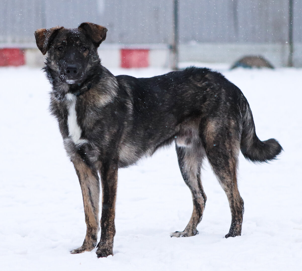 Если ты зажжешь свечу для кого-то, это осветит и твой путь тоже. 