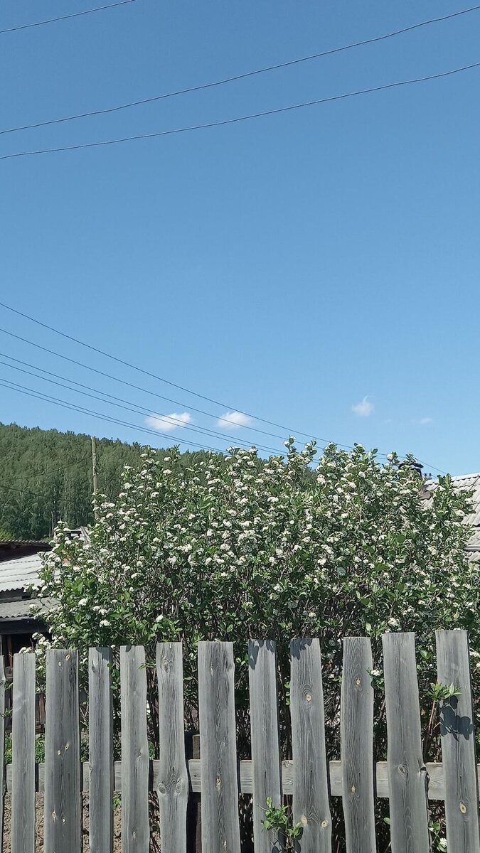 Уральская весна 