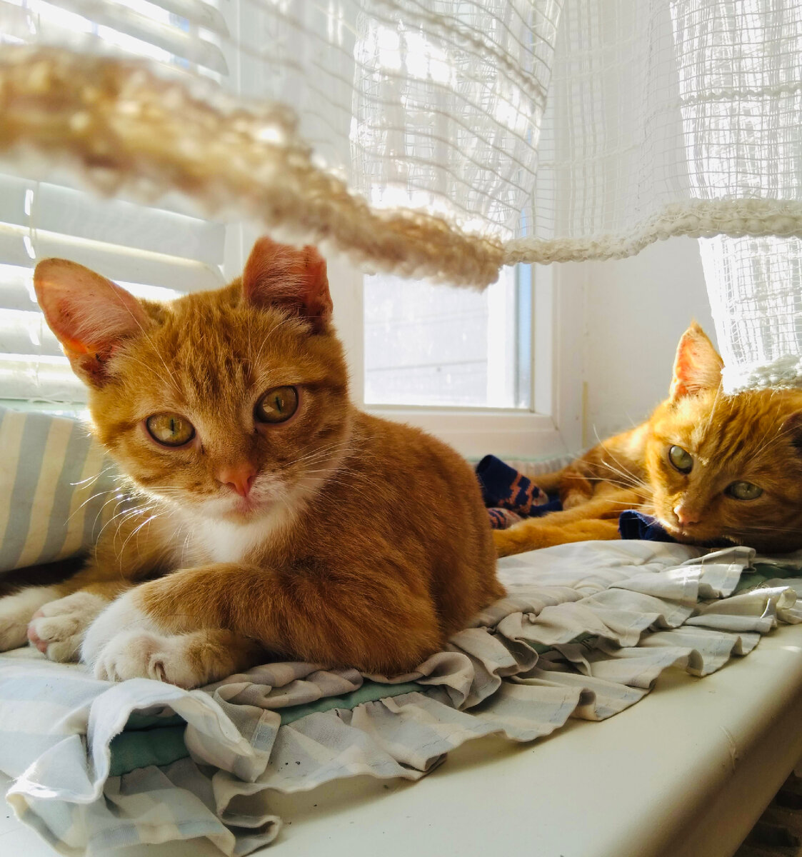 Злотому три месяца 