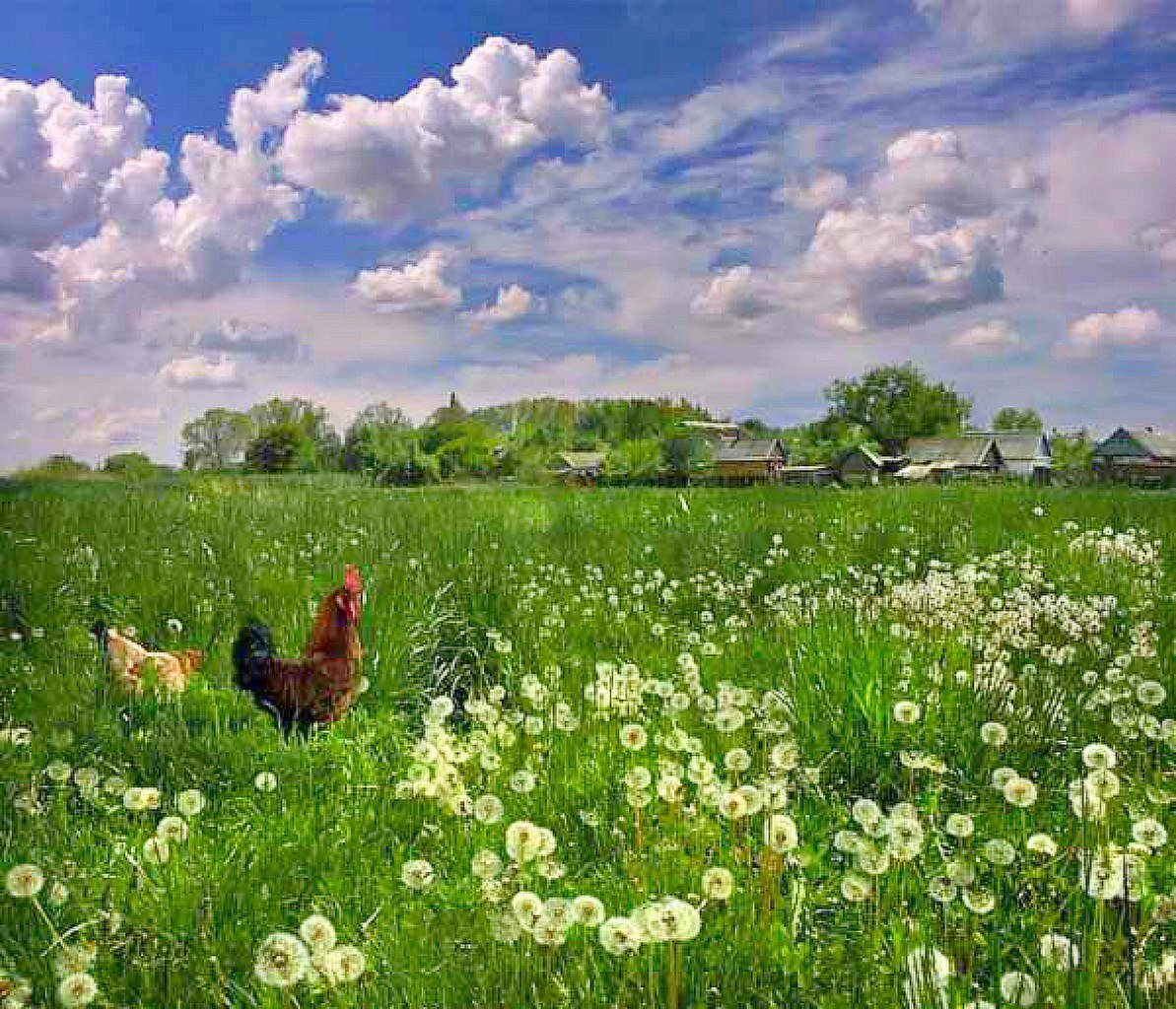 Когда разочаровываешься в человеке, понимаешь: это не он такой плохой. Это ты относился к нему лучше, чем он этого заслуживал, и ждал от него того, на что он вообще не способен.

— Иван Тургенев

