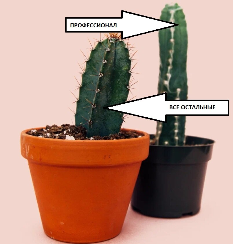 Все хороши на своем месте Photo by charlesdeluvio on Unsplash