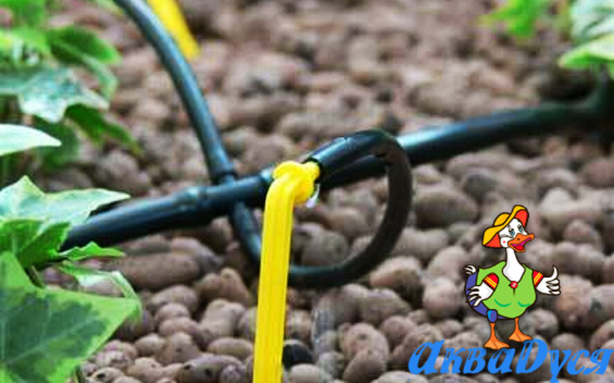 Капельный полив "АкваДуся" на тепловоз.рф