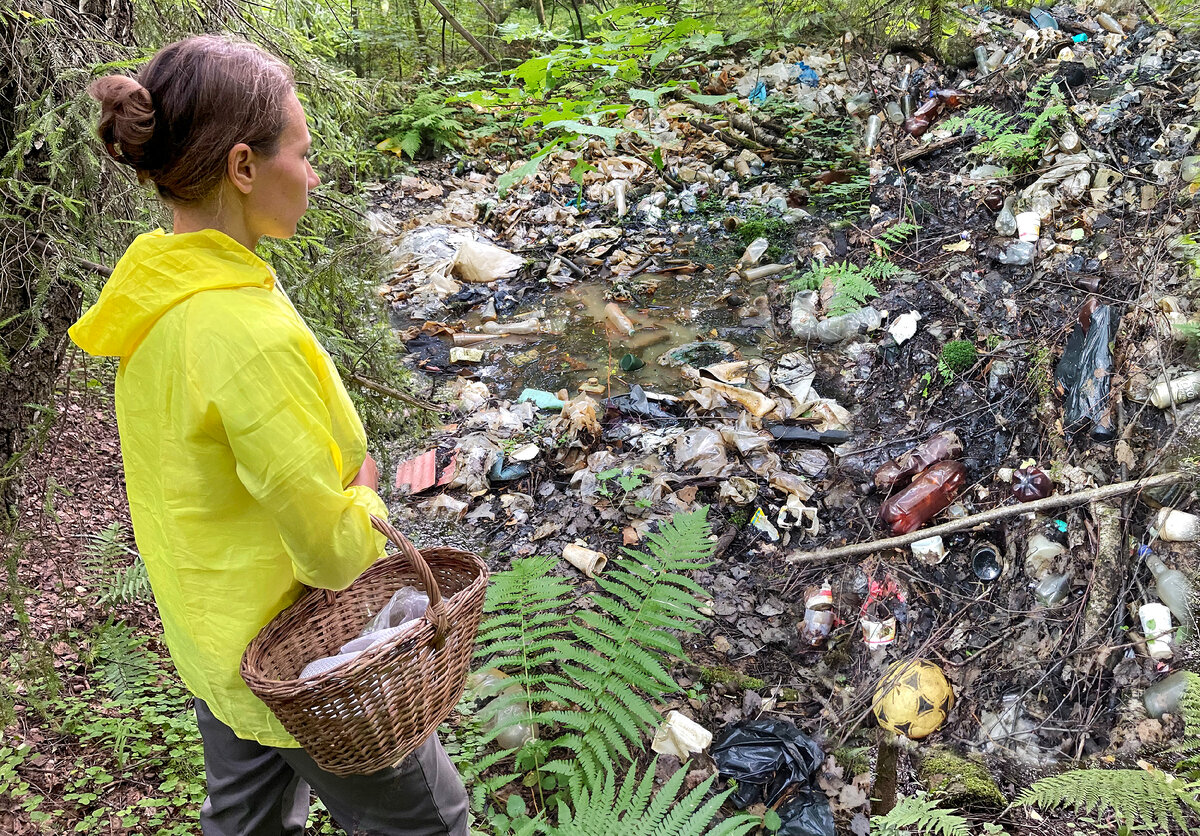 Свалки мусора в лесу