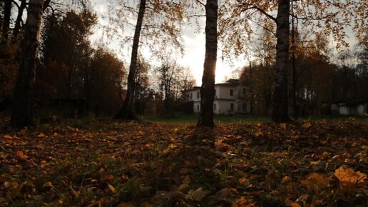 Усадьба Левашевых в Нижегородской области